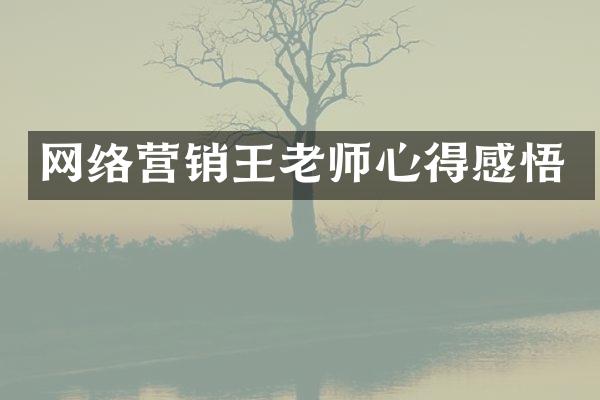 网络营销王老师心得感悟
