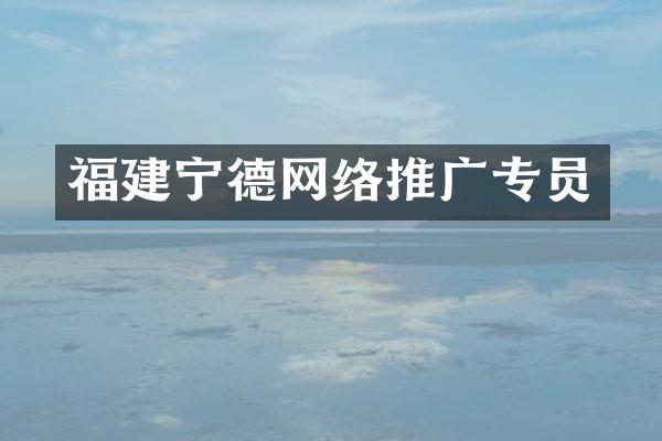 福建宁德网络推广专员