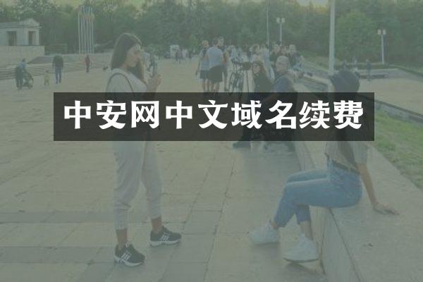 中安网中文域名续费