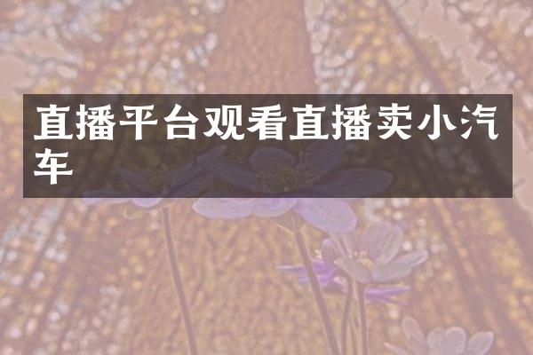 直播平台观看直播卖小汽车