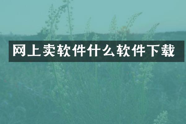 网上卖软件什么软件下载