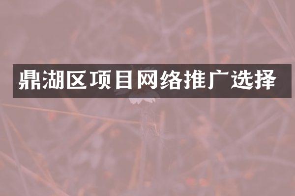 鼎湖区项目网络推广选择