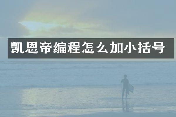 凯恩帝编程怎么加小括号