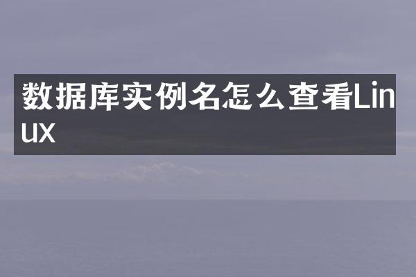 数据库实例名怎么查看Linux