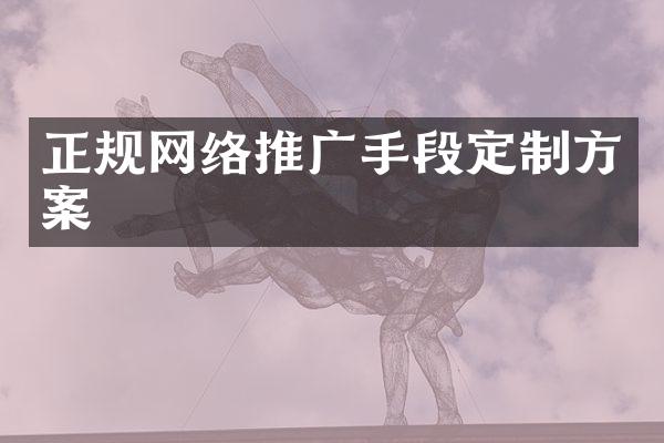 正规网络推广手段定制方案