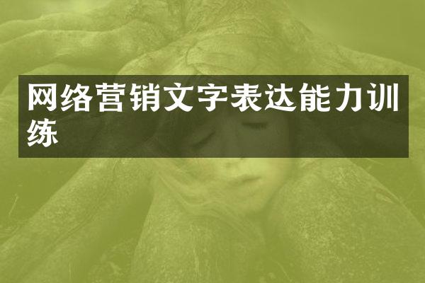 网络营销文字表达能力训练