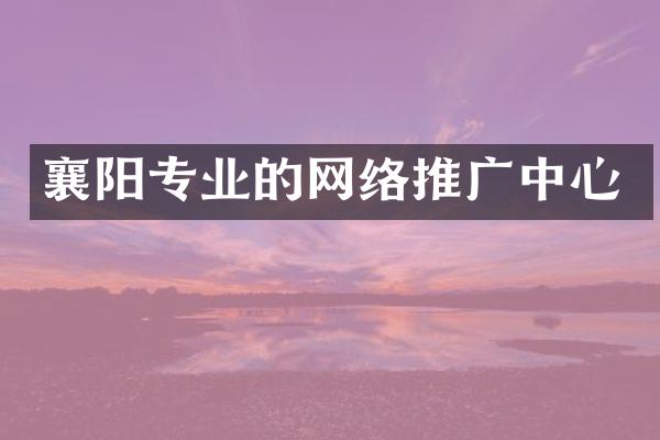 襄阳专业的网络推广中心