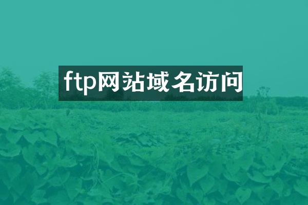 ftp网站域名访问