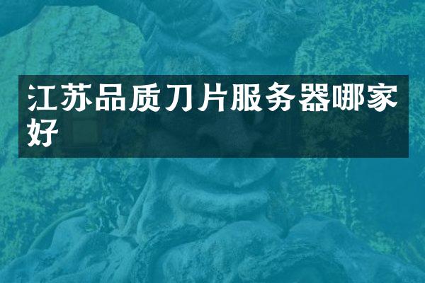 江苏品质刀片服务器哪家好