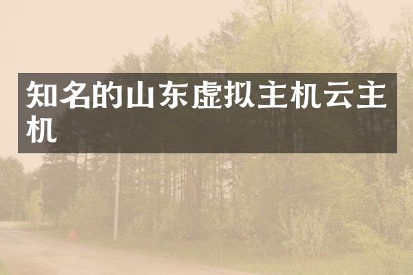 知名的山东虚拟主机云主机