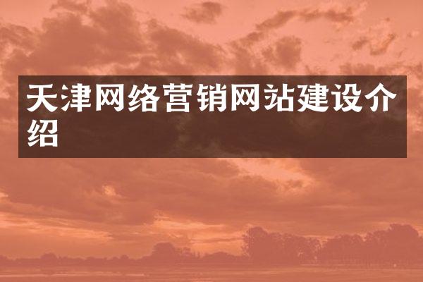 天津网络营销网站建设介绍