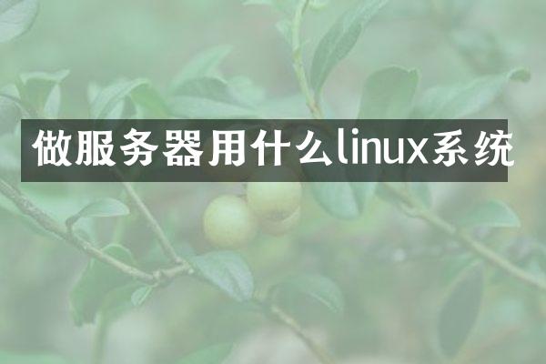 做服务器用什么linux系统