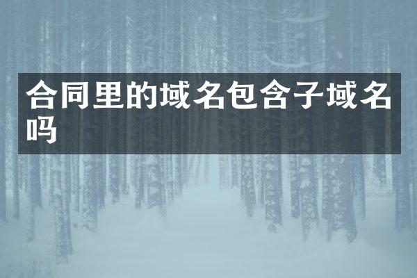 合同里的域名包含子域名吗