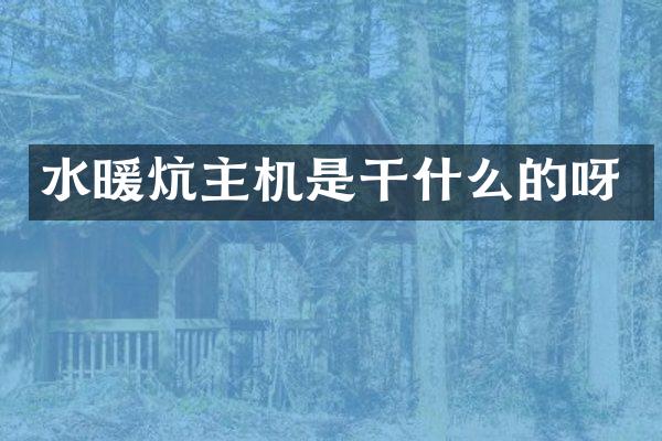 水暖炕主机是干什么的呀