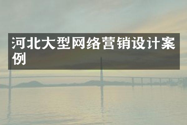 河北大型网络营销设计案例