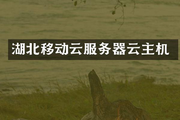 湖北移动云服务器云主机