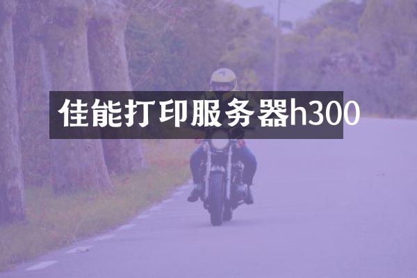 佳能打印服务器h300