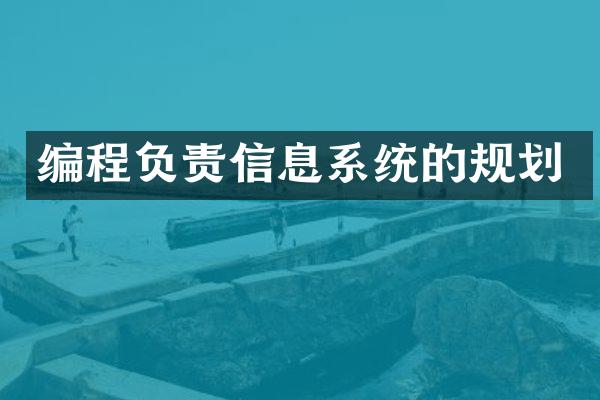 编程负责信息系统的规划
