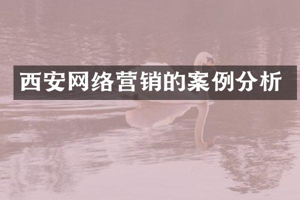 西安网络营销的案例分析