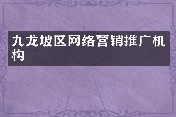 九龙坡区网络营销推广机构