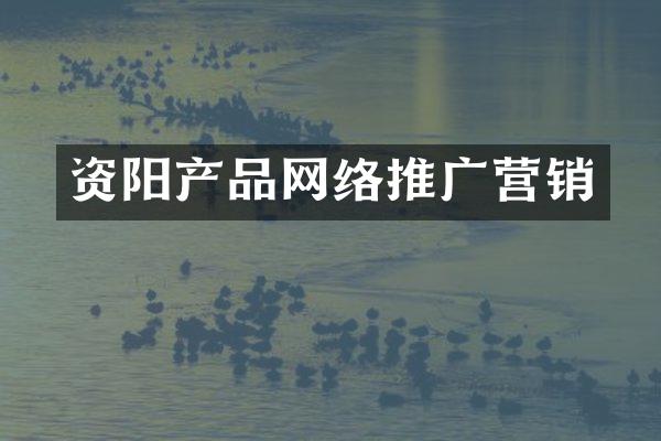 资阳产品网络推广营销
