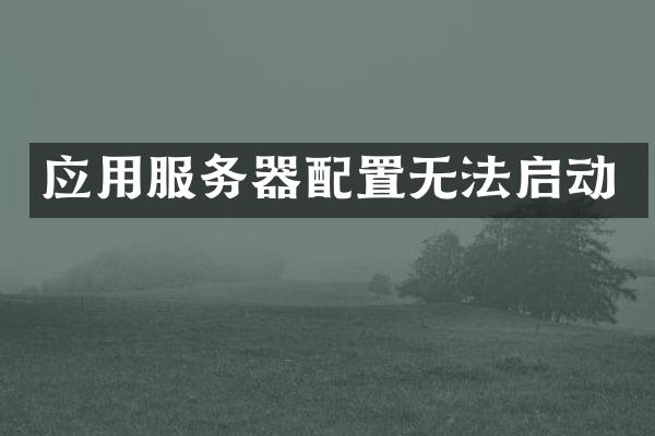 应用服务器配置无法启动