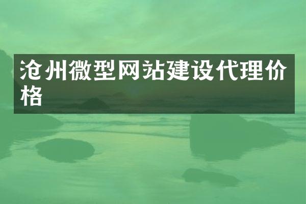 沧州微型网站建设代理价格