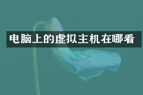 电脑上的虚拟主机在哪看