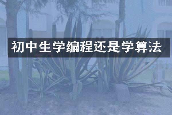 初中生学编程还是学算法