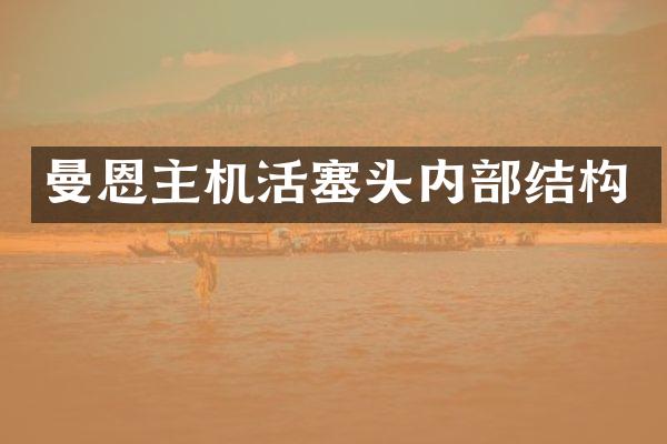 曼恩主机活塞头内部结构