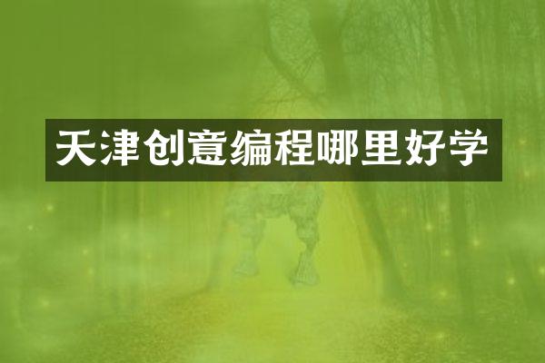 天津创意编程哪里好学