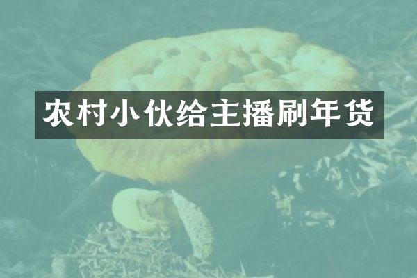 农村小伙给主播刷年货