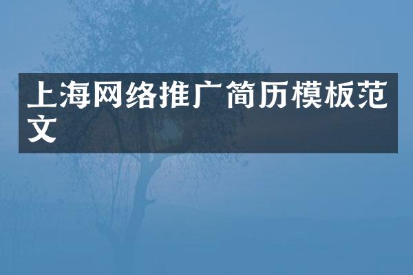 上海网络推广简历模板范文