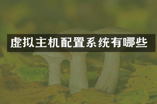 虚拟主机配置系统有哪些