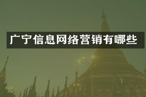 广宁信息网络营销有哪些