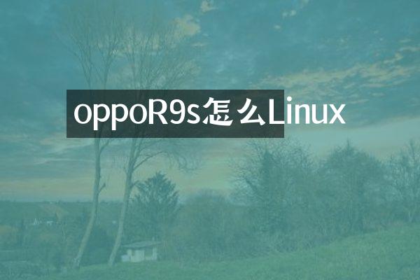 oppoR9s怎么Linux