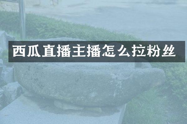西瓜直播主播怎么拉粉丝