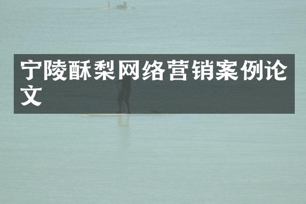 宁陵酥梨网络营销案例论文