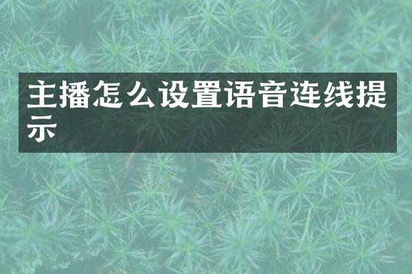 主播怎么设置语音连线提示