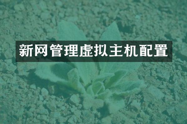 新网管理虚拟主机配置