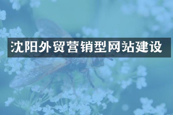 沈阳外贸营销型网站建设