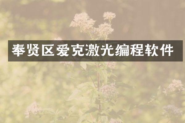 奉贤区爱克激光编程软件