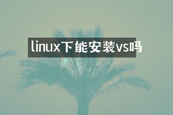 linux下能安装vs吗