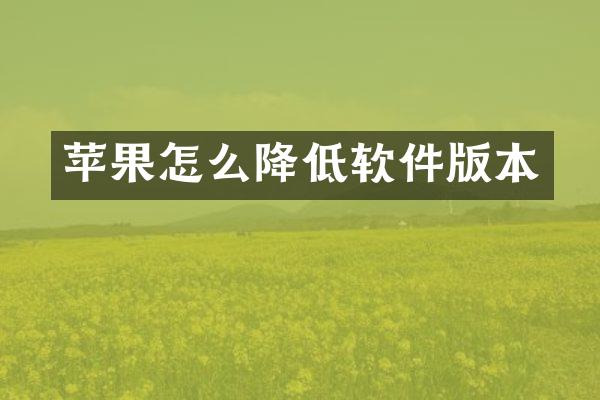 苹果怎么降低软件版本