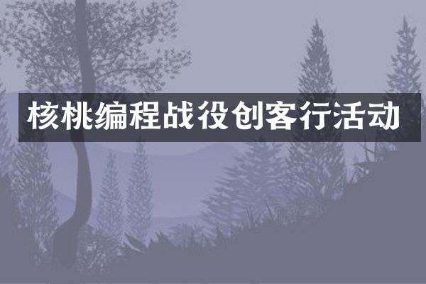 核桃编程战役创客行活动