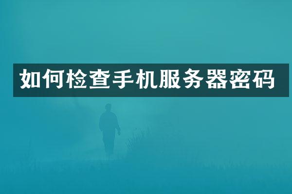 如何检查手机服务器密码