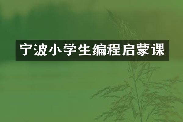 宁波小学生编程启蒙课