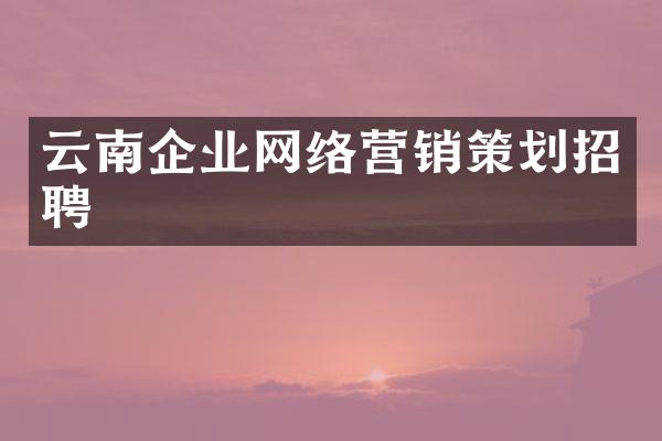 云南企业网络营销策划招聘