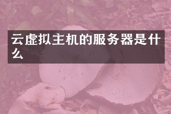云虚拟主机的服务器是什么