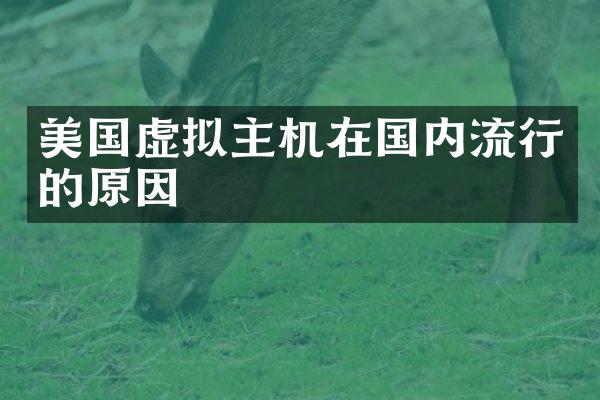 美国虚拟主机在国内流行的原因
